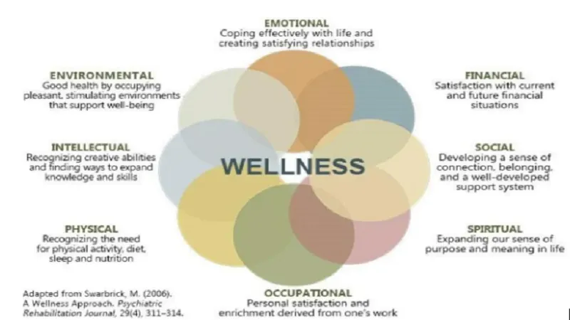 Unlocking Your Wellness Journey with JalbiteHealth Help Guides