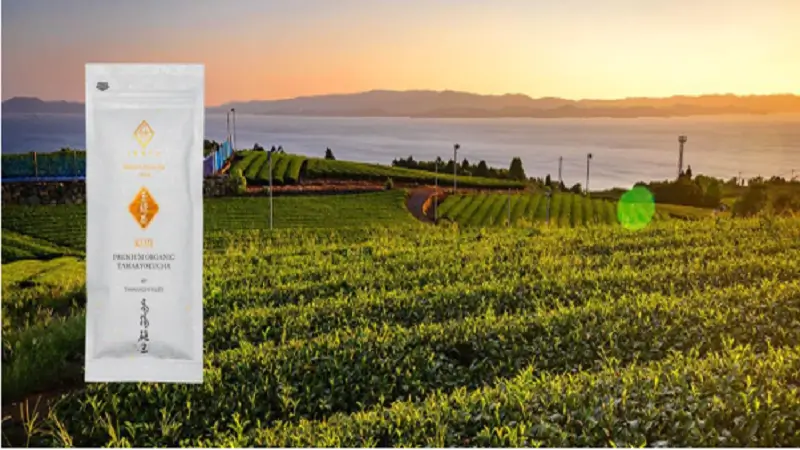 Exploring the IKKYU Tea Japanese Tea Marketplace: Trends Shaping the Future of Tea
